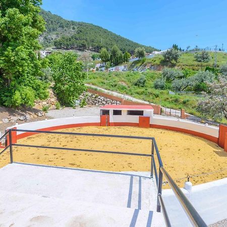 Casa Flores Con Piscina Interior Climatizada อัลเกาซิน ภายนอก รูปภาพ